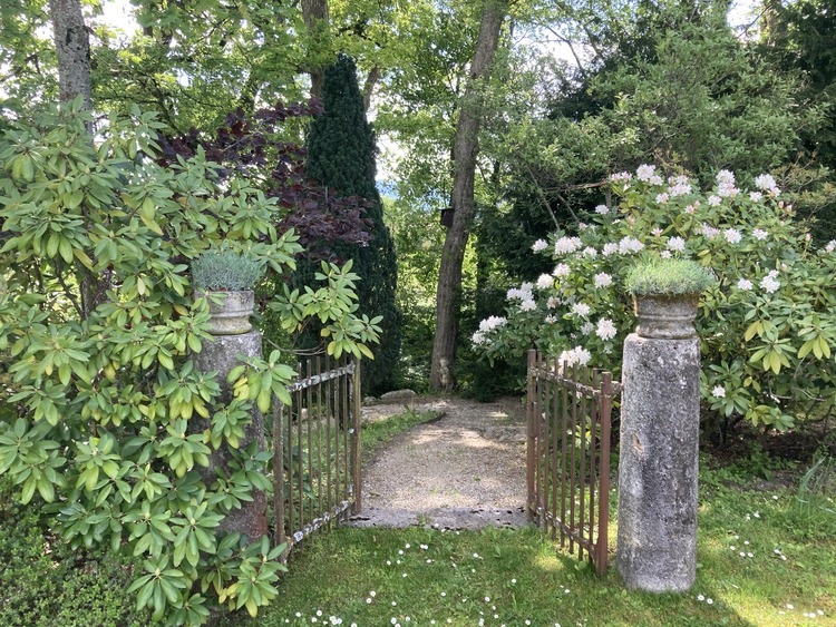 Site-arbotech-Taille-douce-et-abattage