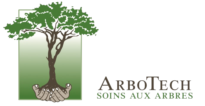 logoTxtSansFond